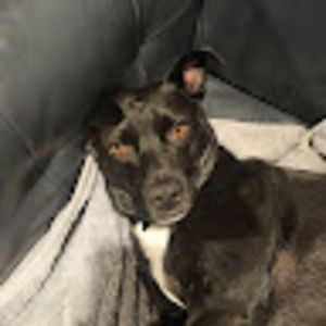 Meet your Posher, Veronica